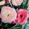 8.2 ft Artificial Rose Flower Garland with 30 LED String Lights – Hanging Faux Rose Vine for Garden, Wedding, Party, Birthday, Bedroom & Wall Décor